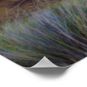 Poster USA, Oregon. Paysage Des Collines Peintes (Coin)