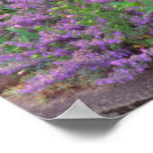 Poster USA, Oregon, Portland. Explosion de Springtime (Coin)