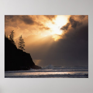 Poster USA, Oregon, près du parc Oswald West State Park, 