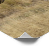 Poster USA, Oregon, Seneca, Ponderosa Ranch. Cheval (Coin)