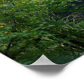 Poster USA, Oregon, Silver Falls State Park (Coin)