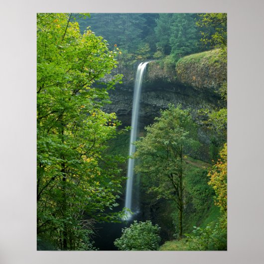 Poster USA, Oregon, Silver Falls State Park (Devant)