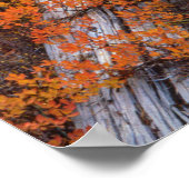 Poster USA, Oregon, Willamette National Forest (Coin)