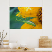 Poster USA, Pennsylvanie. Female praying (Cuisine)