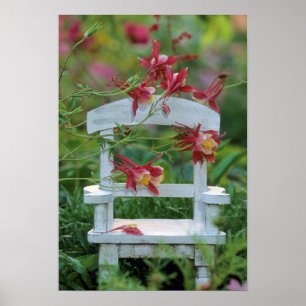 Poster USA, Pennsylvanie. Fleurs de Columbine et chaise