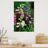 Poster USA, Pennsylvanie. Foxglove et delphinium (Cuisine)