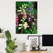 Poster USA, Pennsylvanie. Foxglove et delphinium (Bureau à domicile)