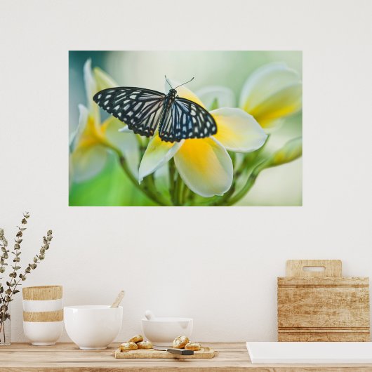 Poster USA, Pennsylvanie. Papillon Swallowtail (Cuisine)