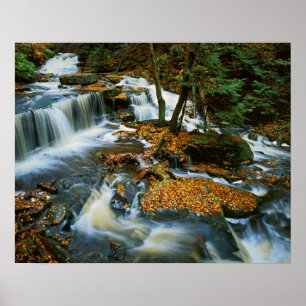 Poster USA, Pennsylvanie, Ricketts Glen State Park