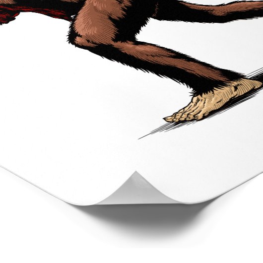 Poster USA Sasquatch (Coin)