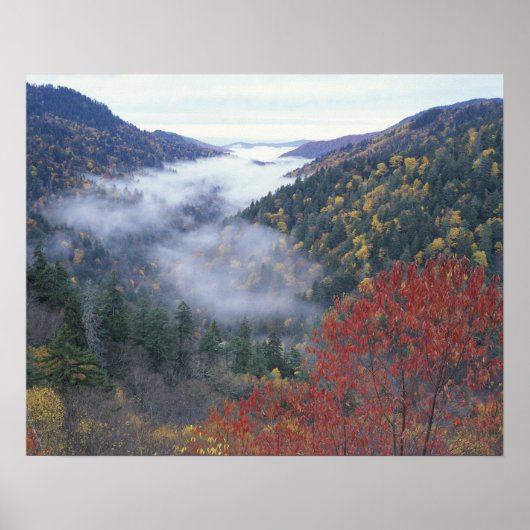 Poster USA, Tennessee, Great Smokey Mountains National (Devant)