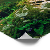 Poster USA, Tennessee, Great Smoky Mountains (Coin)