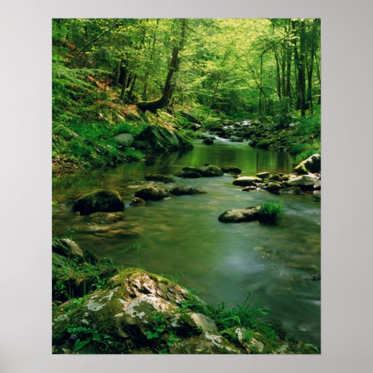 Poster USA, Tennessee, Great Smoky Mountains (Devant)