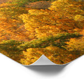 Poster USA, Tennessee. Volage d'automne 2 (Coin)