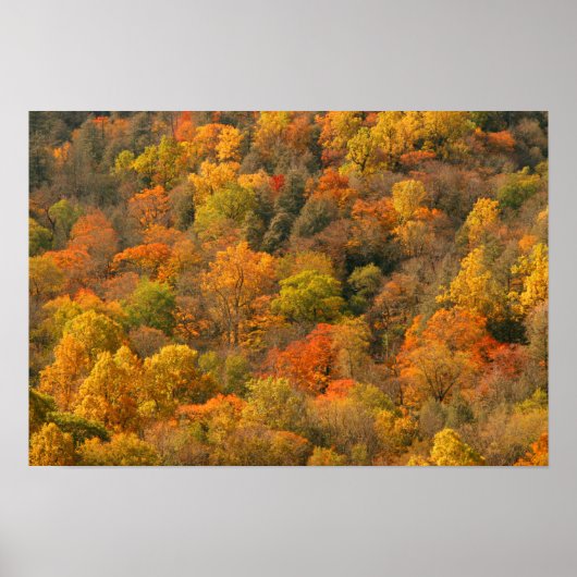 Poster USA, Tennessee. Volage d'automne 2 (Devant)