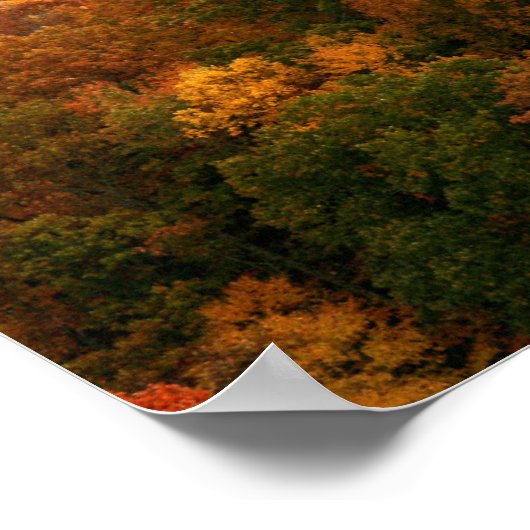 Poster USA, Tennessee. Vue Du Mont Leconte Neige (Coin)