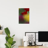Poster USA, Utah, Cache Valley Tulips dans un jardin (Bureau à domicile)