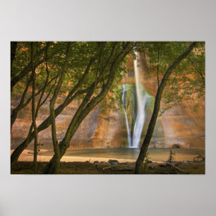 Poster USA, Utah, Escalante Wilderness. La vue sur