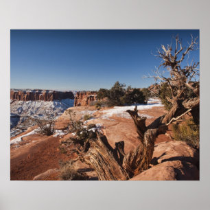 Poster USA, Utah, Moab. Parc national des Canyonlands