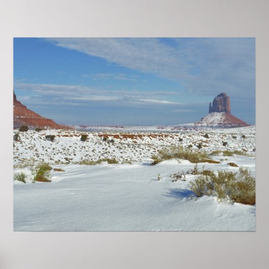 Poster USA, Utah, Monument Valley. Sagebrush (Devant)