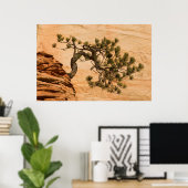 Poster USA, Utah, Zion National Park. Pin (Bureau à domicile)