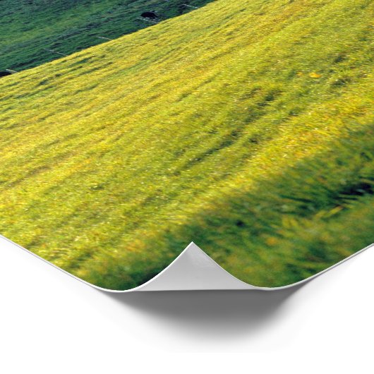 Poster USA, Vermont, Jenne Farm. Les collines verdoyantes (Coin)