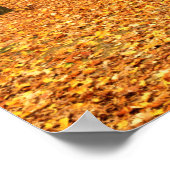 Poster USA, Virginie, Colonial National Historical (Coin)