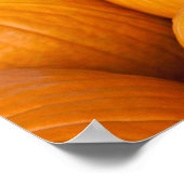 Poster USA, Virginie-Occidentale, Charleston. Capitole 2 (Coin)