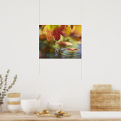 Poster USA, Washington, Bellingham, Gros plan de l'automn (Cuisine)