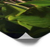 Poster USA, Washington DC, Capitol Building (Coin)