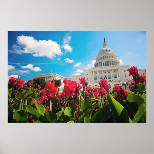 Poster USA, Washington DC, Capitol Building (Devant)