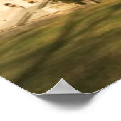 Poster USA, Washington DC, Capitol building (Coin)