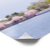 Poster USA, Washington DC, Cherry tree in floraison (Coin)