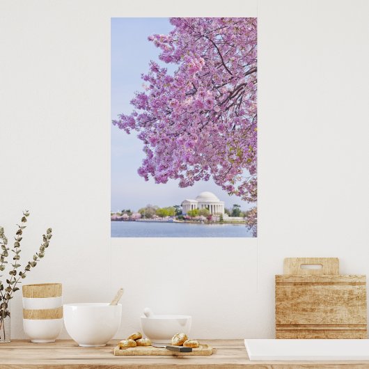 Poster USA, Washington DC, Cherry tree in floraison (Cuisine)