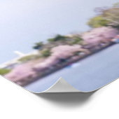 Poster USA, Washington DC, Cherry tree in floraison (Coin)