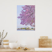 Poster USA, Washington DC, Cherry tree in floraison (Cuisine)
