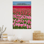 Poster USA, Washington. Field of Multicolored Tulips (Cuisine)