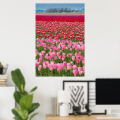 Poster USA, Washington. Field of Multicolored Tulips (Bureau à domicile)