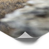 Poster USA, Washington, North Cascades National Park, (Coin)