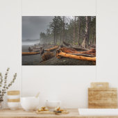 Poster USA, Washington, Parc National Olympique, Rialto (Cuisine)