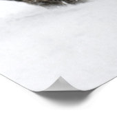 Poster USA, WY, Yellowstone NP, Bison américain (Coin)