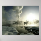 Poster USA, Wyoming, Parc National de Yellowstone. Soleil (Devant)