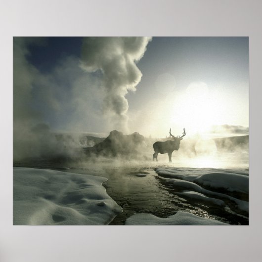 Poster USA, Wyoming, Parc National de Yellowstone. Soleil (Devant)