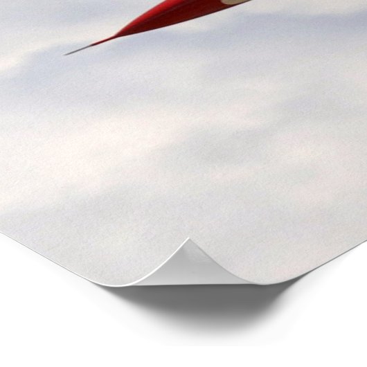 Poster USAF Thunderbirds (Coin)