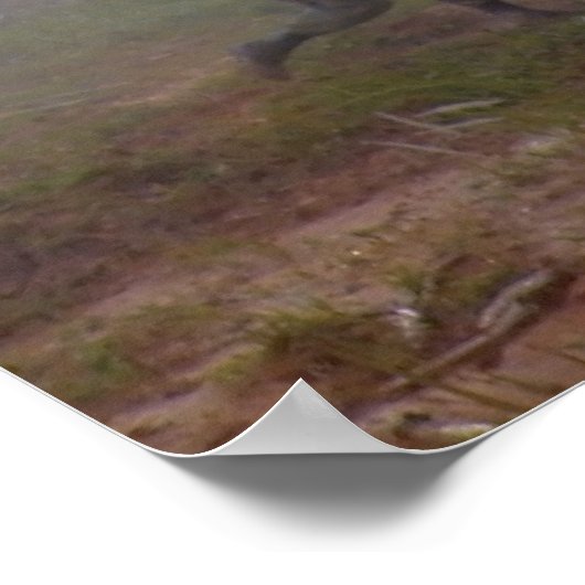 Poster USARV Army Support Command Vietnam Nam War (Coin)