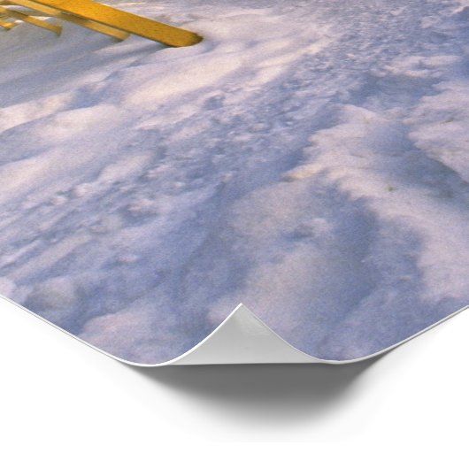 Poster USFS Schnauss Location Cabine en Hiver ovelooookin (Coin)