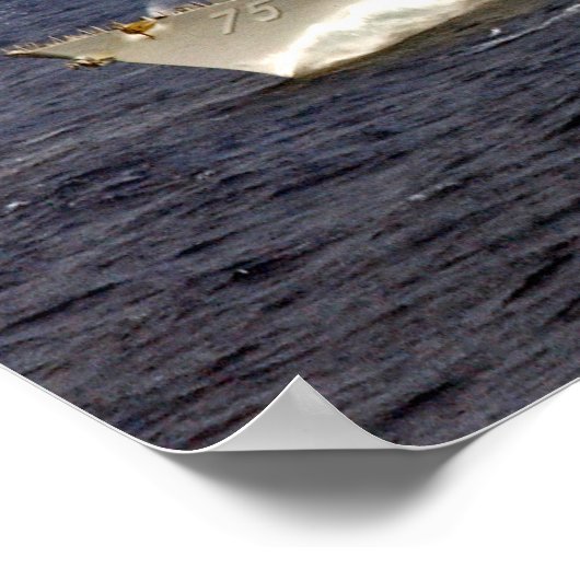 Poster USS Donald Cook (Coin)