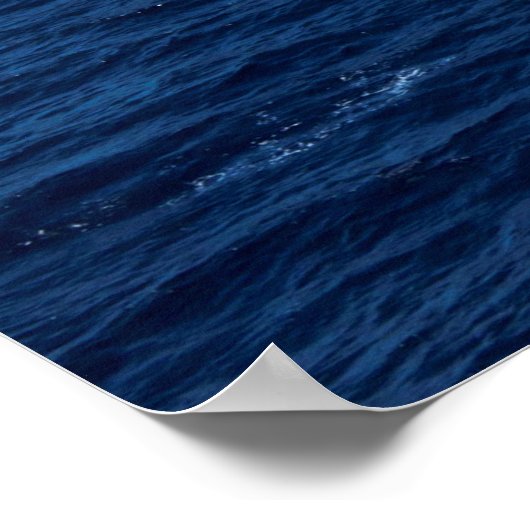 Poster USS Fitzgerald (DDG 62) (Coin)