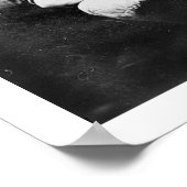 Poster USS Maine Baseball Team 1898 (Coin)