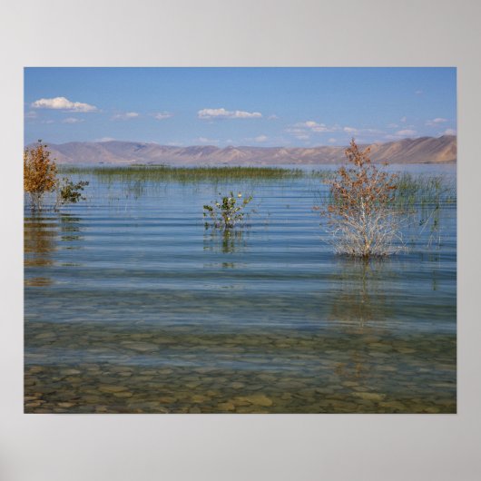Poster UT, lac Bear (Devant)